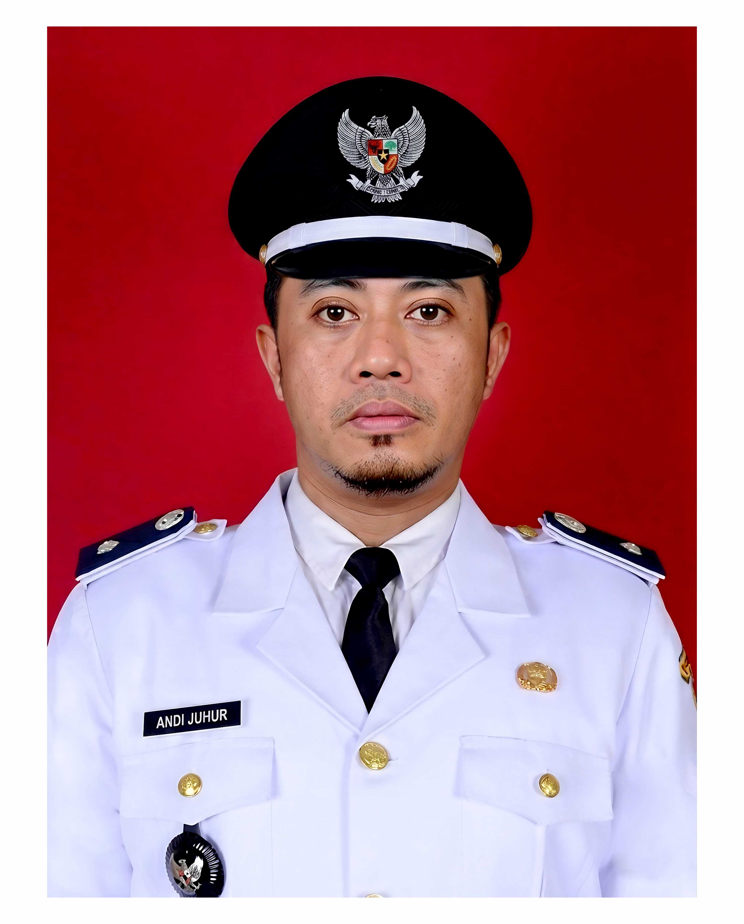 Kepala Desa Polewali Maddiolo